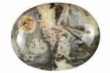 1.8" Polished Crazy Lace Agate Pocket Stone  - Photo 3